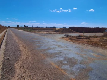 Stands & Residential Land