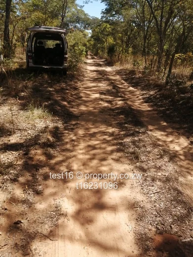 Mvuma farm for sale 
