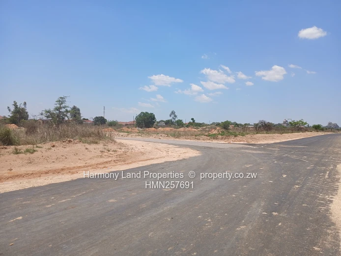 Executive Low Density Stands- Ridgemont Park, Rusape (Sole Mandate)