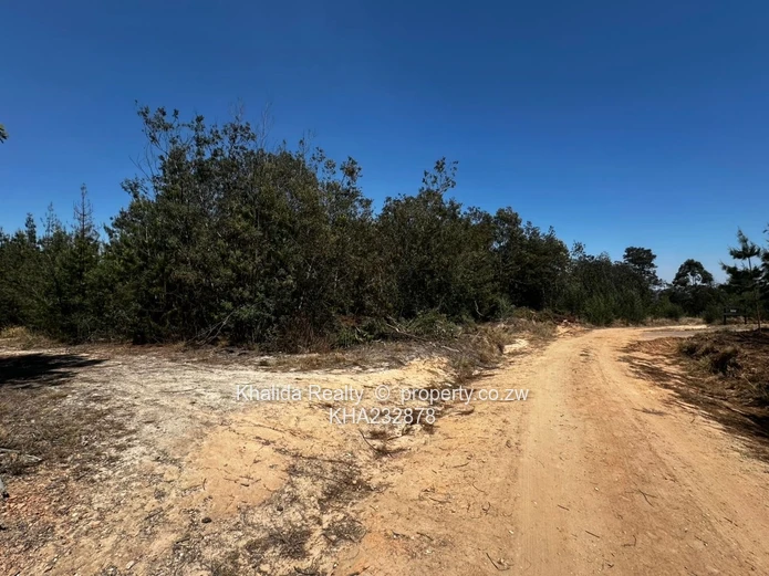 Prime 8,000sqm Stand for Sale – Juliusdale, Nyanga  (Sole Mandate)