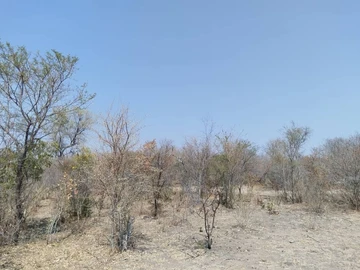 Farm & Agricultural Land