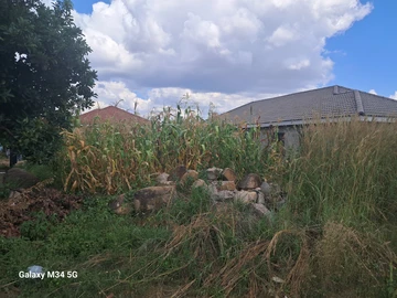 Stands & Residential Land