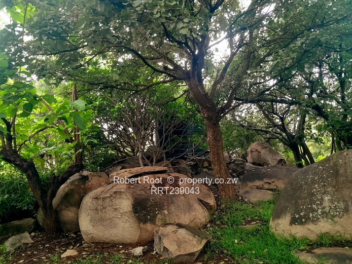 Prime 8,163sqm Commercial Property – Arcturus Road Frontage