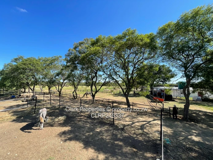 Multipurpose Farm Close To Bulawayo