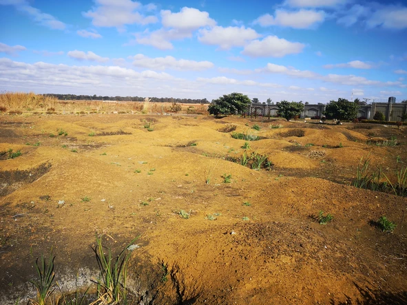 Stands & Residential Land