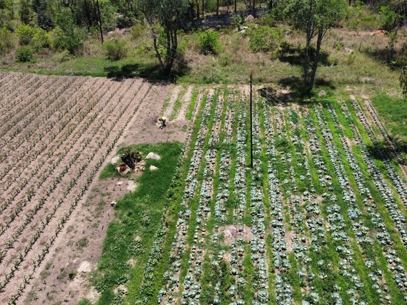 Farm & Agricultural Land