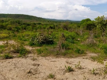 Farm & Agricultural Land