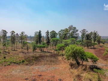 Commercial & Industrial Land
