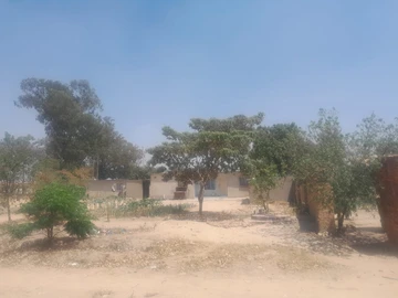 Stands & Residential Land