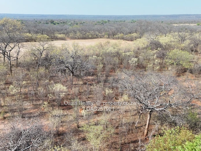 Investment Opportunity | Zambezi Gorge, Victoria Falls