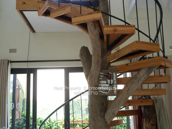 An exeptioanal , fully furnished and well-established double story dream house 