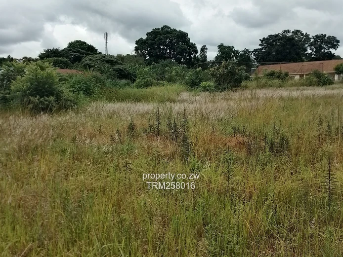 Helensvale, Borrowdale -Prime residential stand for sale 