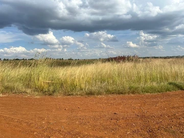 Farm & Agricultural Land