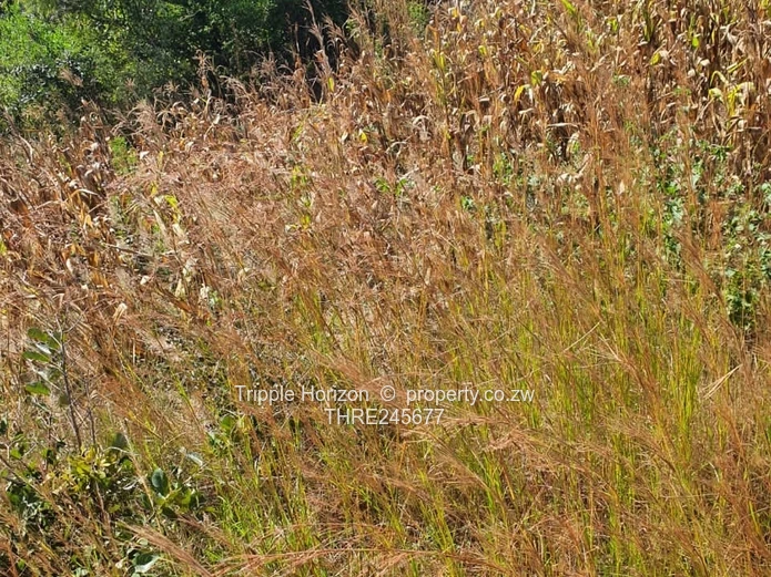 1000m² Stand in Crowhill Views — Gravel Road Access