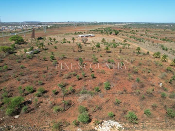 Land