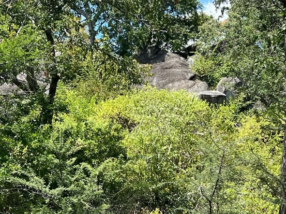 Farm & Agricultural Land