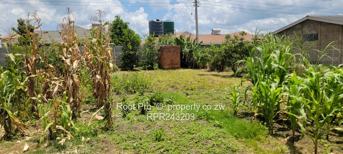 Sandton House For Sale