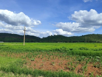 Farm & Agricultural Land