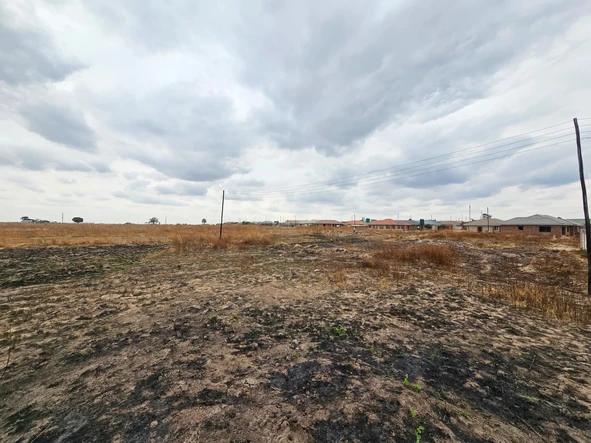 Stands & Residential Land