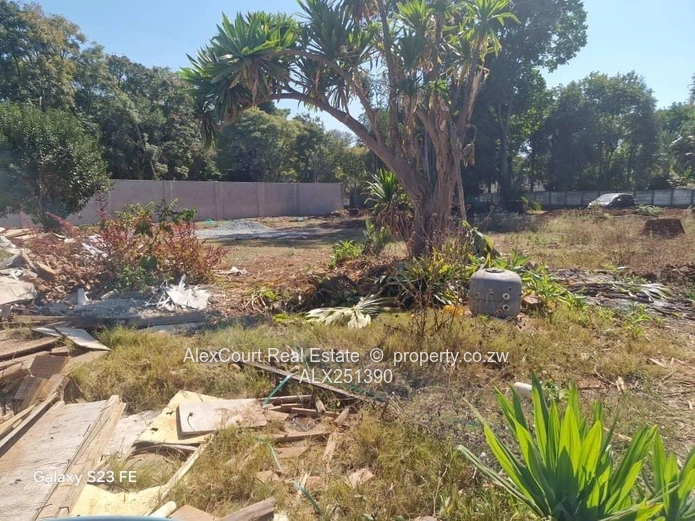 Smart Investment, Premium Location