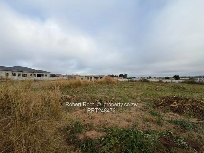 Manresa 2000sqm stand with Title Deeds (Sole Mandate)