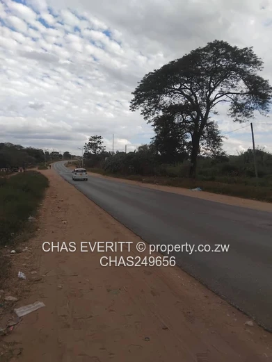 Prime Commercial Stand For Sale