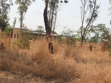 Commercial & Industrial Land