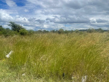 Commercial & Industrial Land