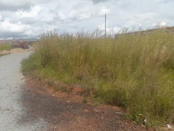 Stands & Residential Land