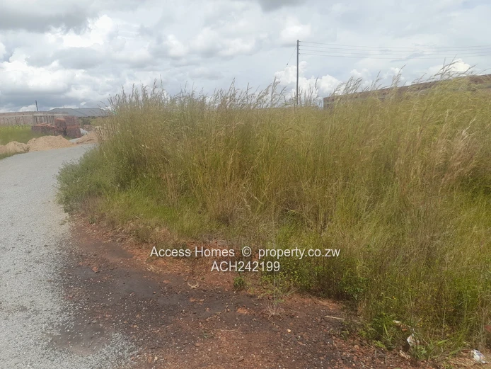 Nyabira Rosewood Park 