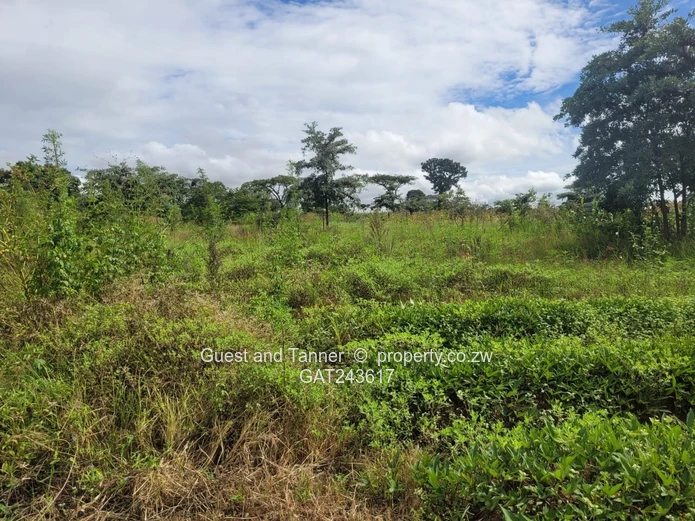 Choice of 2 Stands in Crowhill 