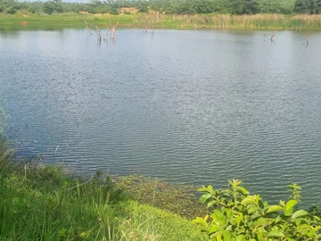 Farm & Agricultural Land