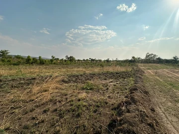 Farm & Agricultural Land