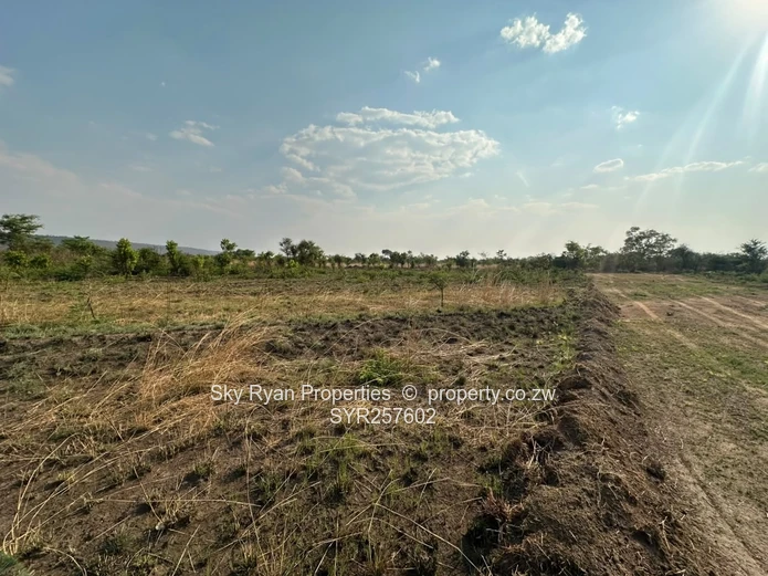 Knockmallock Estate, Norton – Agro-Residential Plots For Sale 
