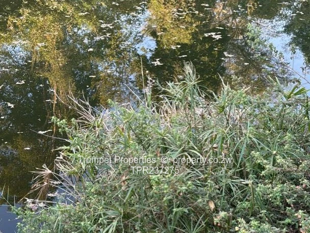 Farm To Let In Chinhoyi