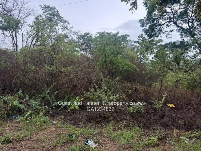 Residential Stand For Sale In Shawasha Hills, Harare,