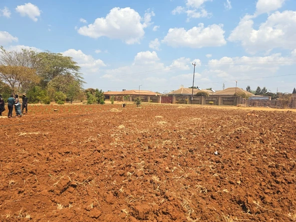 Stands & Residential Land