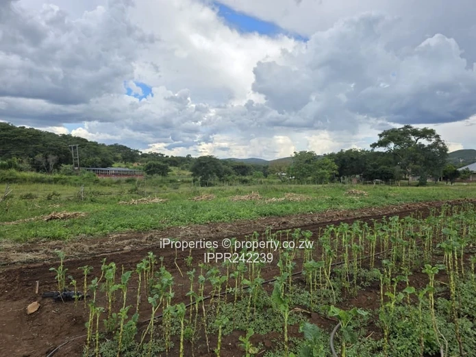 1.6 Hectares Land with a 3 Bedroom House- 30km from Harare (Sole Mandate)