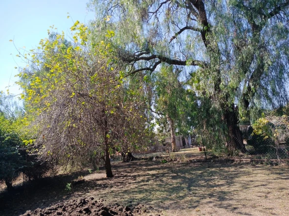 Farm & Agricultural Land