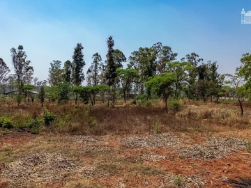 Commercial & Industrial Land