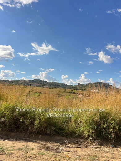 Palm village stands for sale !! 