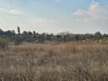 Land