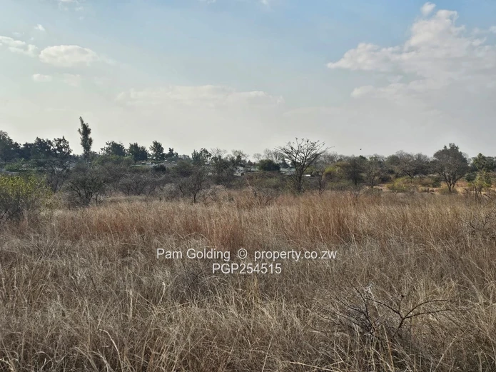 Burnside 1 Acre Residential Stand