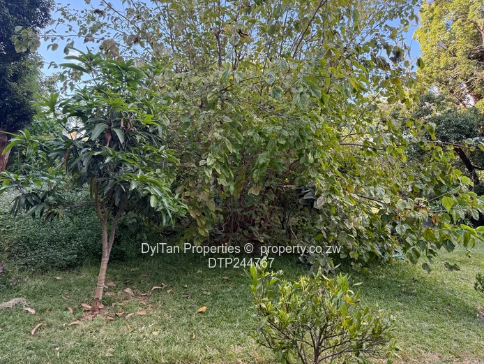 Land for Sale in Northwood