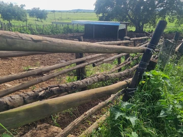 Farm & Agricultural Land