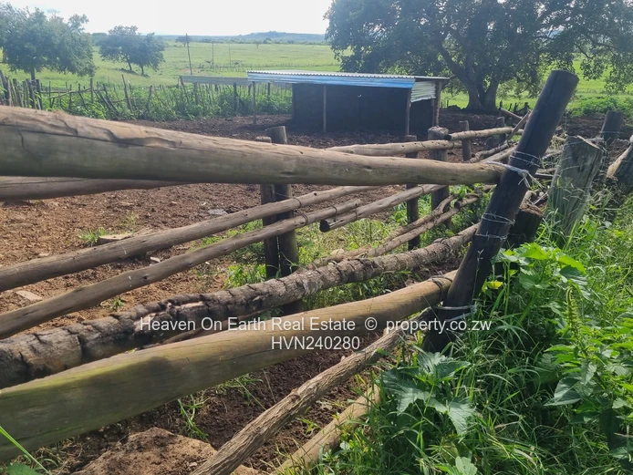 Farm For Sale In Masvingo
