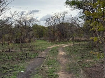 Farm & Agricultural Land