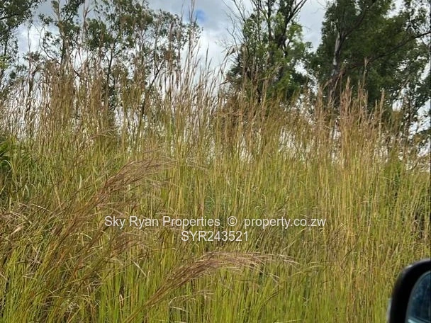 Cowfold Gweru Shopping Centre Stand For Sale