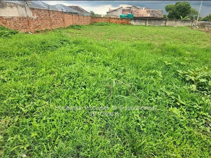 Old Zimre Park stand for sale