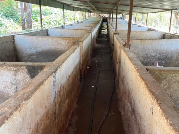 Farm & Agricultural Land